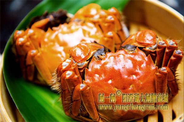 阳澄湖大闸蟹
