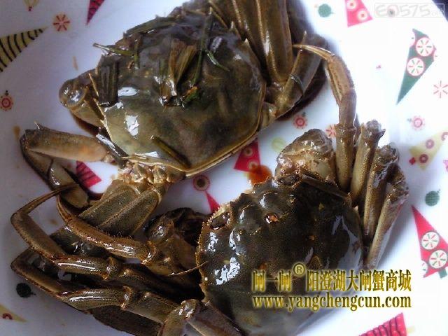 母亲的醉螃蟹   