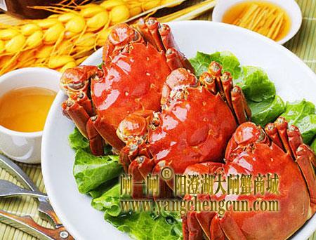吃蟹季你不得不知的那些“食”事(图)