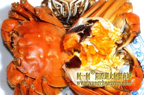 大闸蟹的美味不适合哪些人群吃呢？