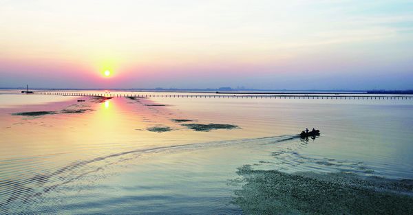 产量略有下降 阳澄湖大闸蟹9月中下旬上市 