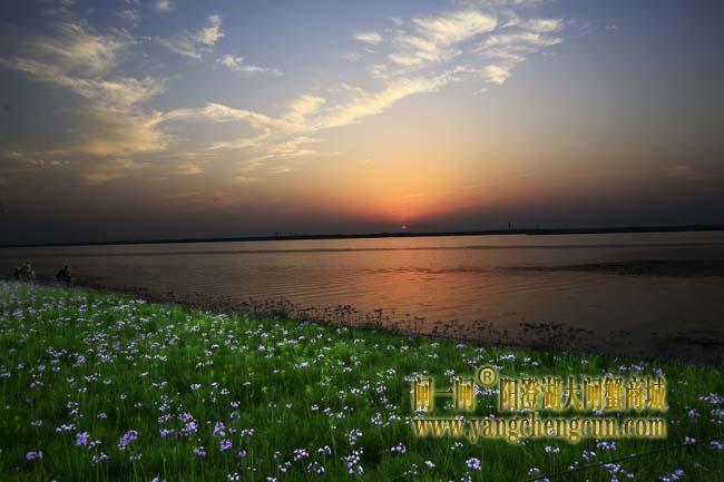 阳澄湖半岛