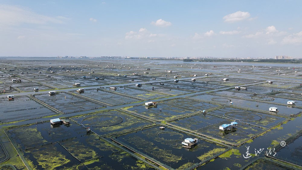 苏州阳澄湖大闸蟹核心产区航拍图