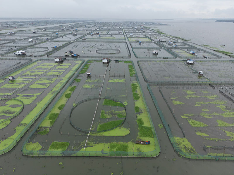 阳澄湖大闸蟹养殖基地