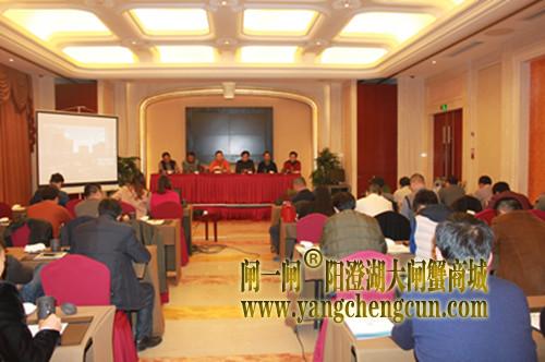 协会召开常务理事及副会长会议   