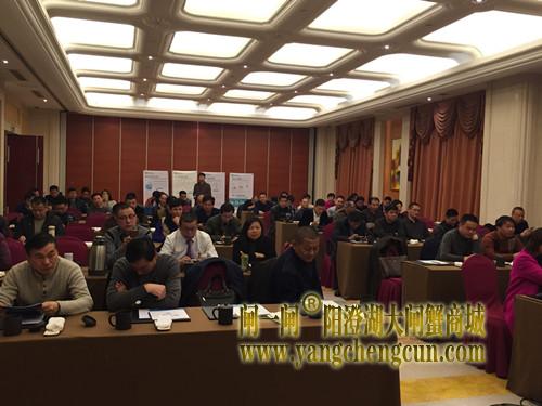协会召开常务理事及副会长会议   
