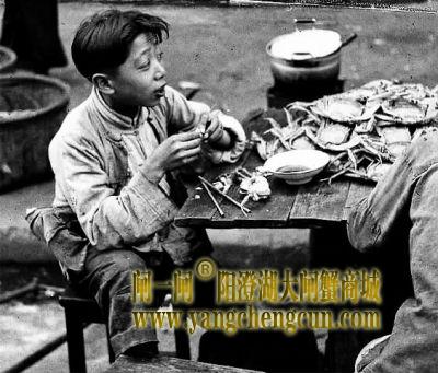 1945年上海穷人吃大闸蟹度日系曲解历史  