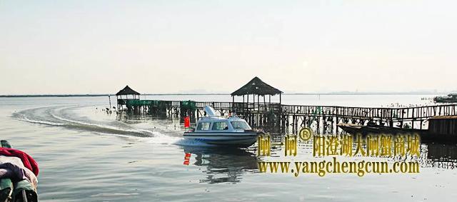 阳澄湖