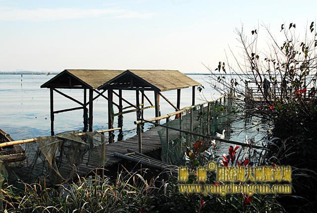阳澄湖半岛