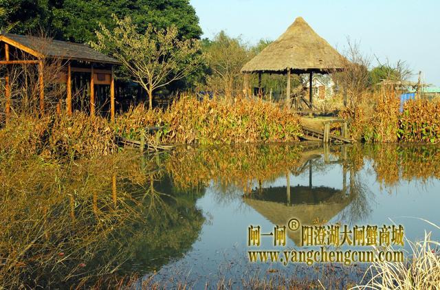 阳澄湖半岛