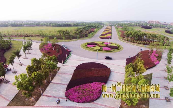 乘直升机游览阳澄湖半岛将实现 