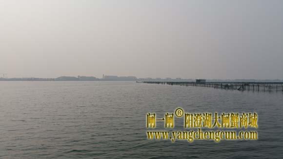 阳澄湖上有一种风景叫养蟹的地方......
