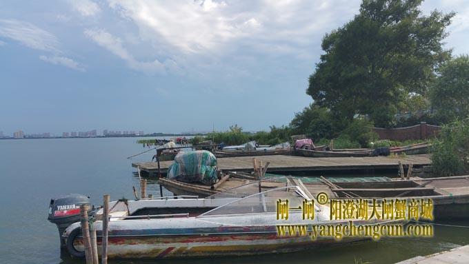 梅雨季里的艳阳天（7月5日）