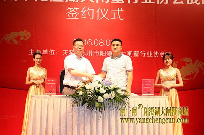 阳澄湖大闸蟹
