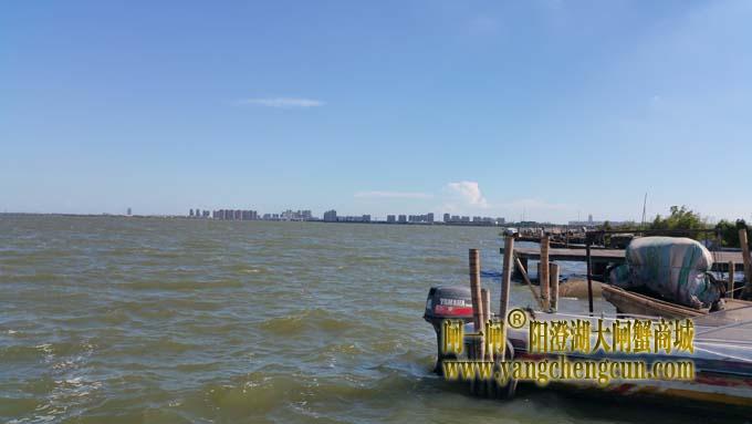 阳澄湖