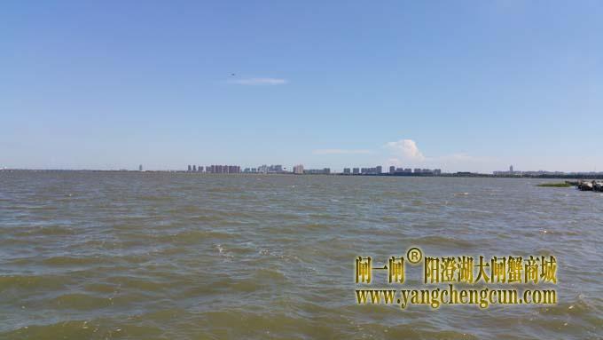 阳澄湖