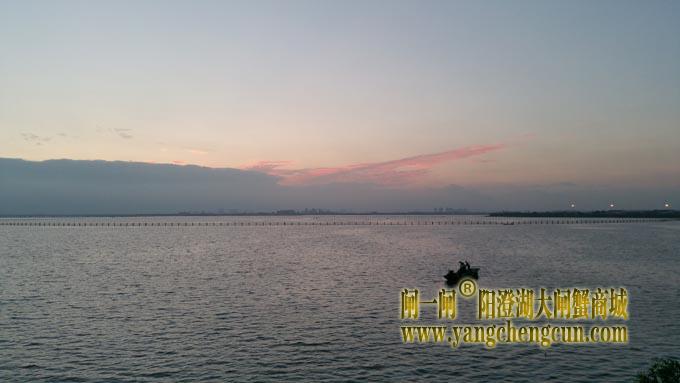 阳澄湖的早晨