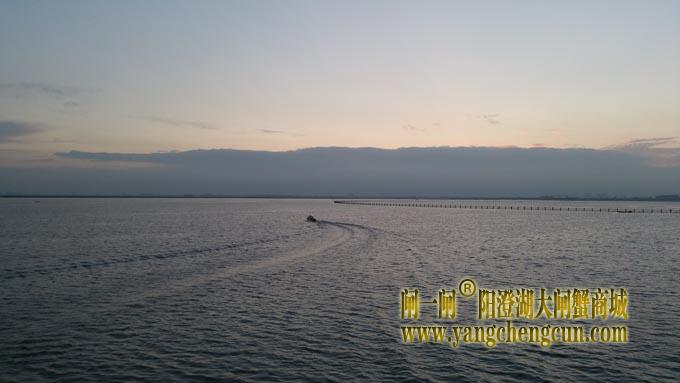 阳澄湖的早晨