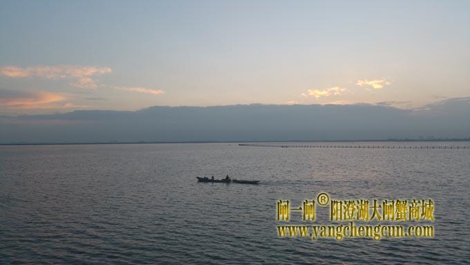 阳澄湖的早晨