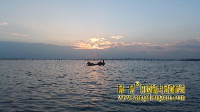 阳澄湖的早晨