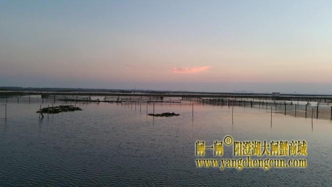 阳澄湖