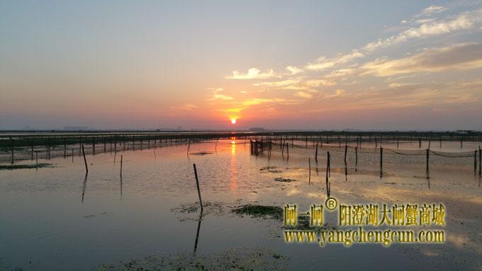 阳澄湖