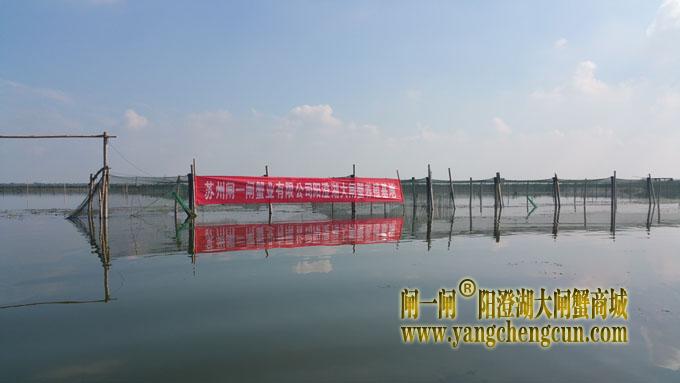 阳澄湖