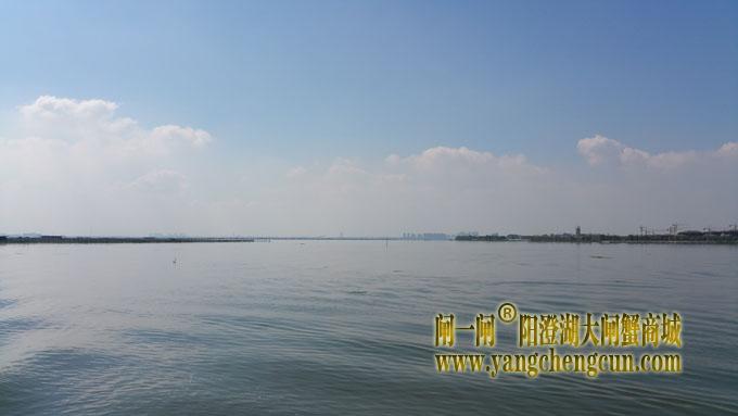 阳澄湖