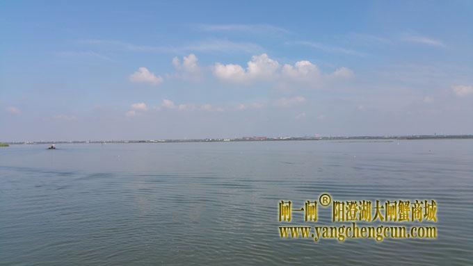 阳澄湖