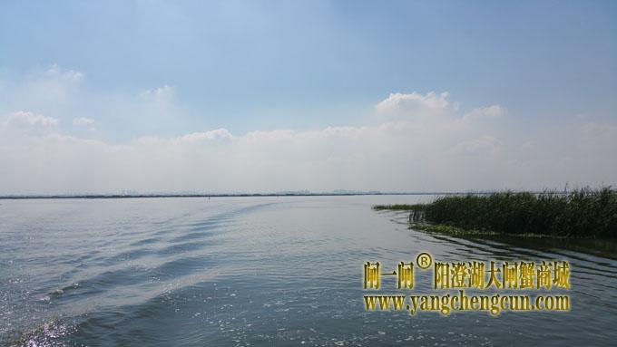 阳澄湖