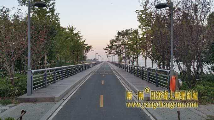阳澄湖半岛自行车道
