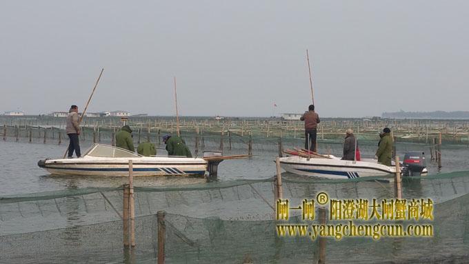 阳澄湖新网围定位