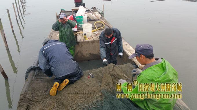拆除旧网围