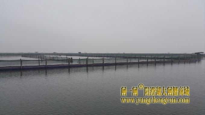 阳澄湖