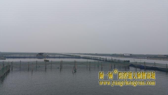 阳澄湖