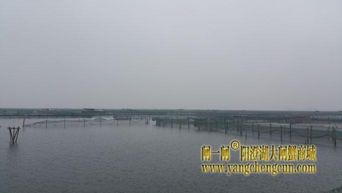 阳澄湖