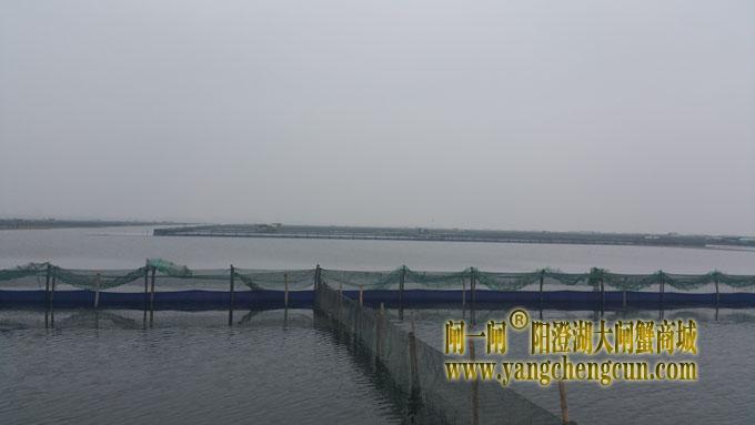 阳澄湖