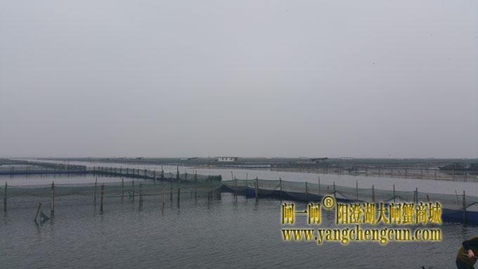 阳澄湖