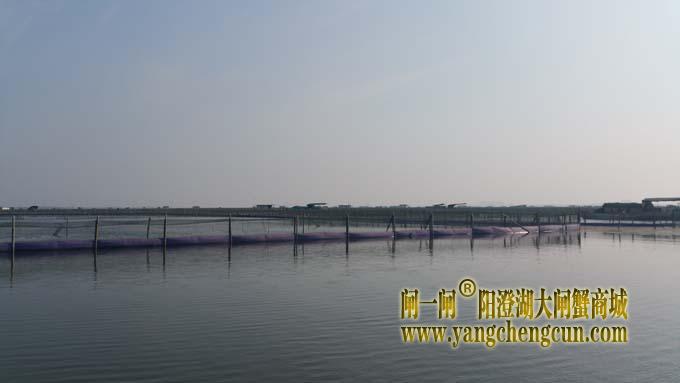 阳澄湖风景 