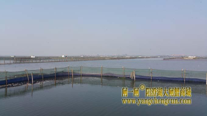 阳澄湖风景 