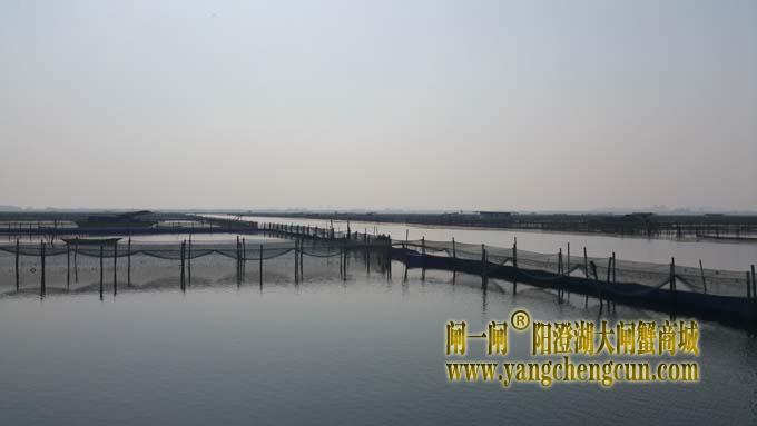 阳澄湖风景 