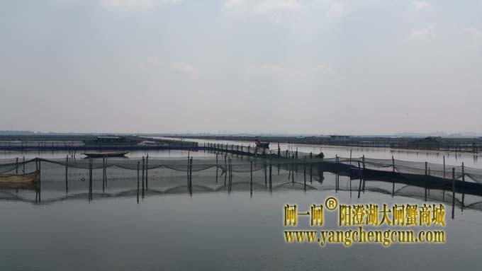 阳澄湖风景 