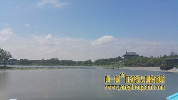 莲池湖公园