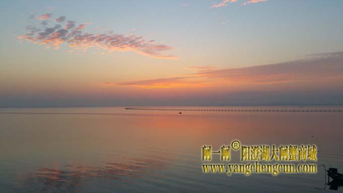 阳澄湖日出