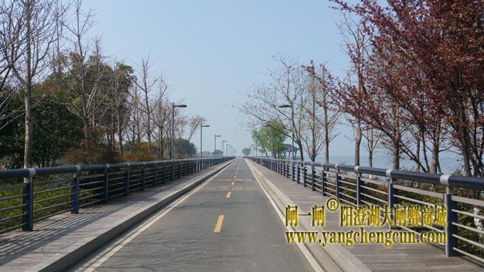  阳澄湖半岛自行车赛道