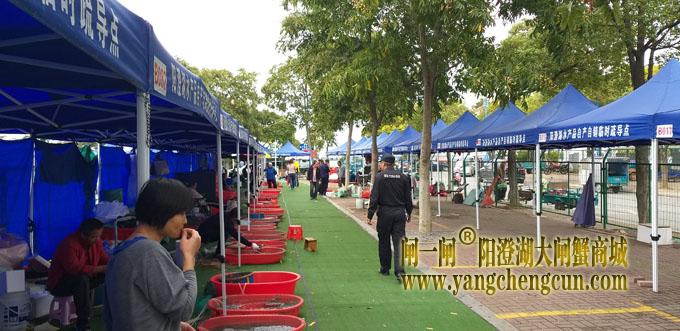 阳澄湖半岛水产品临时疏导点
