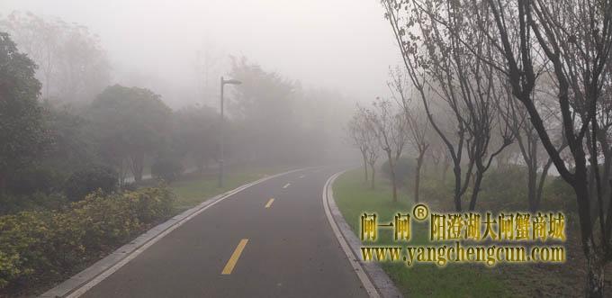 阳澄湖半岛大雾天