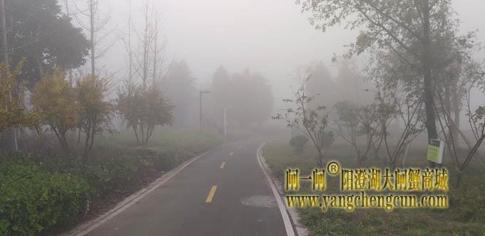 阳澄湖半岛大雾天