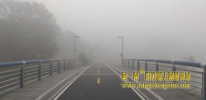 阳澄湖半岛大雾天