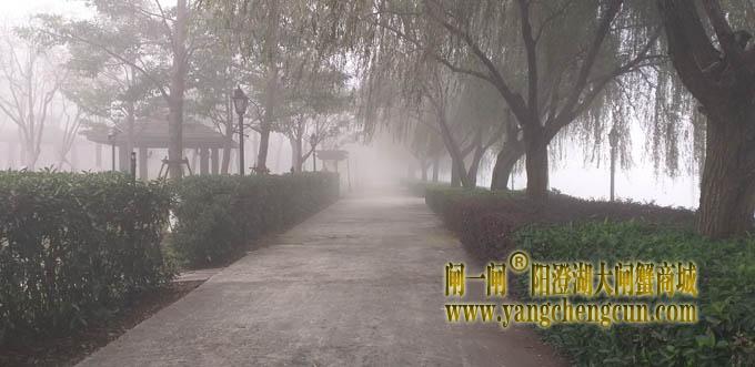 阳澄湖半岛大雾天